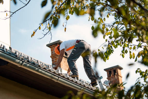 Best Gutter Installation and Roofing  in Spencer, TN