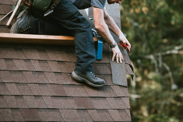 Best Roof Gutter Cleaning  in Spencer, TN